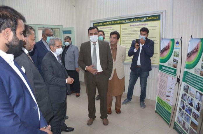 Ambassador of Republic of Yemen to Pakistan Mohammad Motahar Alashabi visiting Locust Research Center during his visit to University of Agriculture Faisalabad (UAF